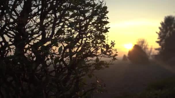 Matahari terbenam di pedesaan 3 — Stok Video