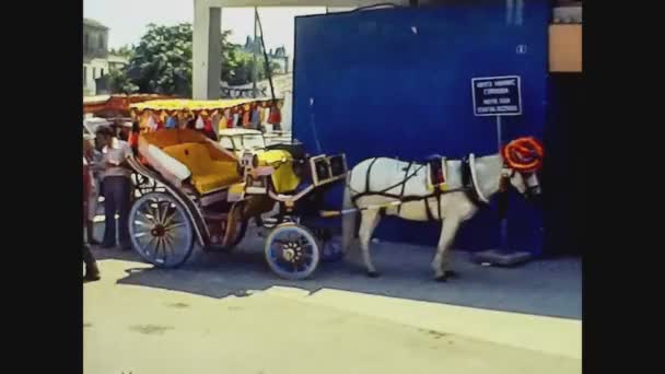 希腊1978年，骑马运输 — 图库视频影像