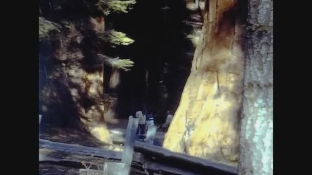 Καλιφόρνια 1978, Yosemite Park View σε 70 's 28 — Αρχείο Βίντεο