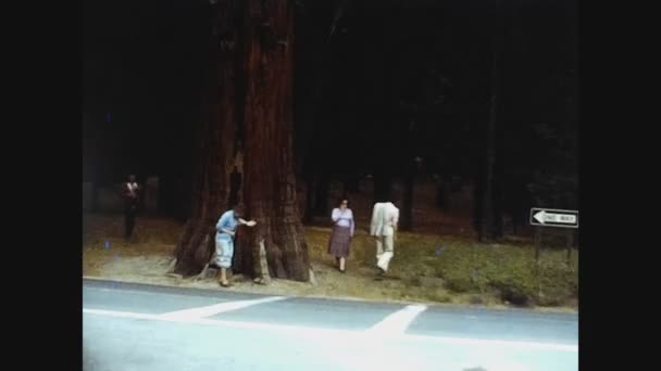 California 1978, widok na park Yosemite w latach 70-tych 19 — Wideo stockowe