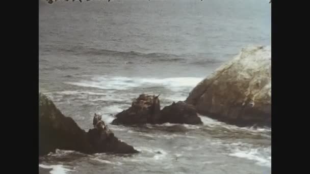 San Francisco, Verenigde Staten 1979, Rock sea california — Stockvideo