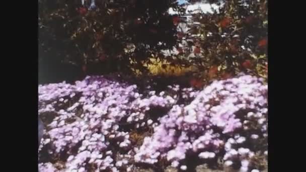 San Francisco, USA 1979, Giardino con fiori — Video Stock