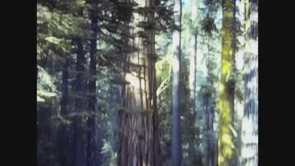 California 1978, Yosemite vista sul parco negli anni '70 27 — Video Stock