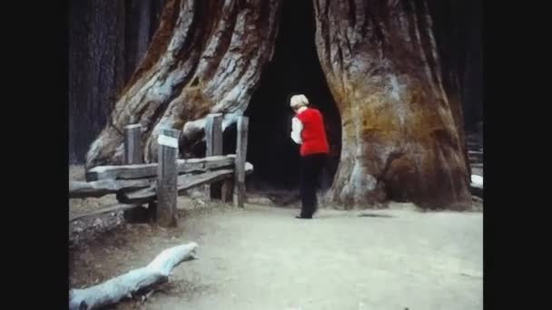 カリフォルニア1978,ヨセミテ公園の景色70年代の30 — ストック動画