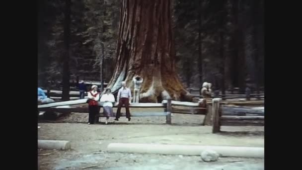 Kalifornien 1978, Yosemite park vy på 70-talet 29 — Stockvideo