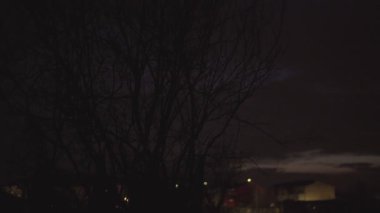 Dusk çıplak dalları