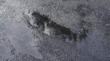 Asfaltta yağmur damlalarıyla su birikintisi