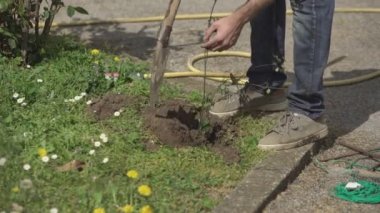 Yeni bir bitki dikmek için bahçe.
