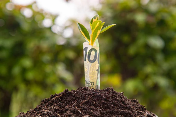 Symbol Wzrostu Gospodarczego Stówkowy Banknot Euro Rośliną Lub Liściem Wyrastającym — Zdjęcie stockowe