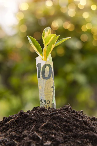 Economic Growth symbol : one hundred euro banknote with a plant or leaf growing out of the earth with green blurry background
