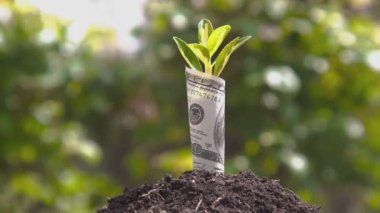 Ekonomik Büyüme Sembolü 2