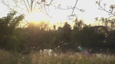 4 baharında gün batımında bir gölet manzarası