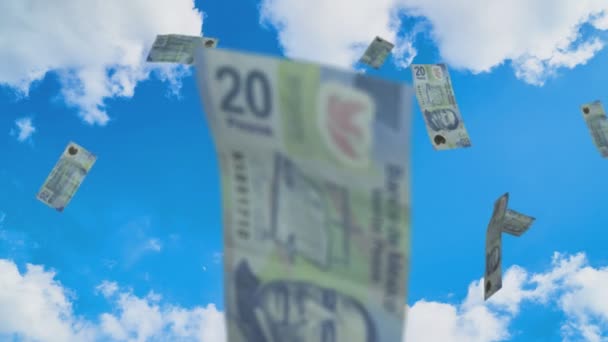 Mexican pesos bills rain sky — Stock Video