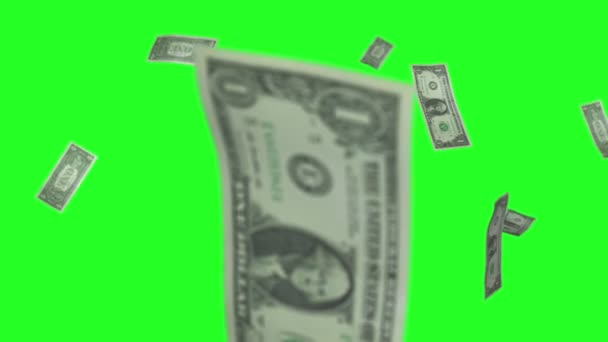 Dollar bills rain green screen — Stock Video