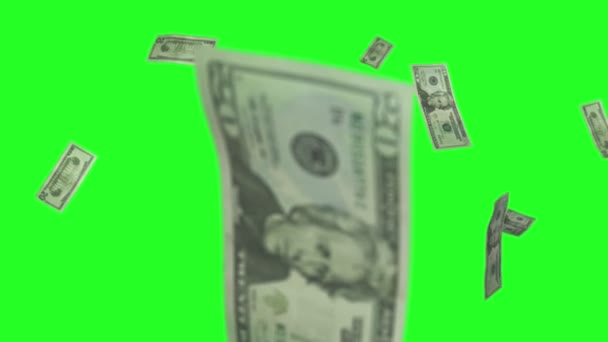 Dollar biljetten regen groen scherm 2 — Stockvideo