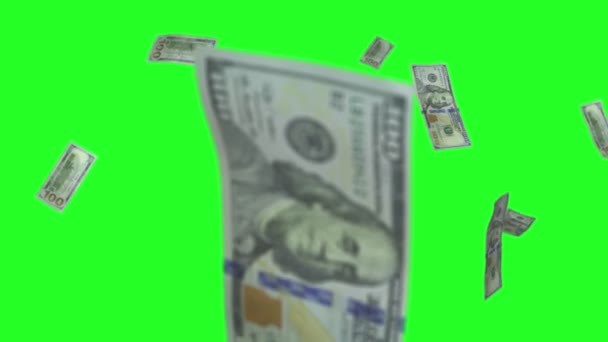 Dinheiro chuva tela verde — Vídeo de Stock