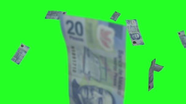 Pesos mexicanos contas chuva tela verde — Vídeo de Stock
