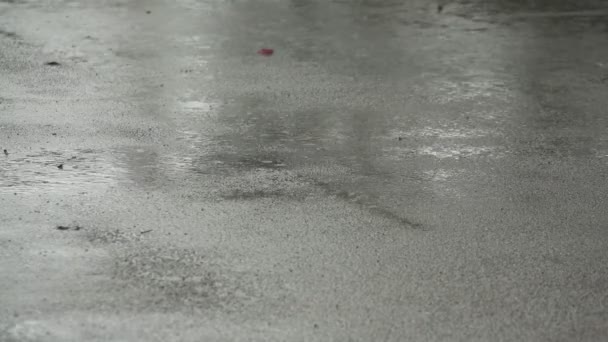 沥青路面上的雨量详情 — 图库视频影像