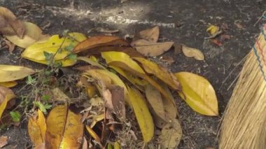 Sweep the leaves off the sidewalk
