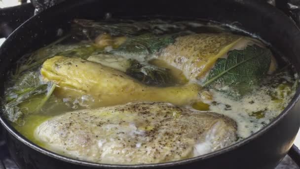 Gotowanie Smaczny Szczegół Kurczaka Garnku — Wideo stockowe