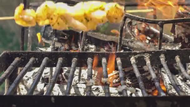 고기가 슬로우 모션으로 미끄러지는 — 비디오
