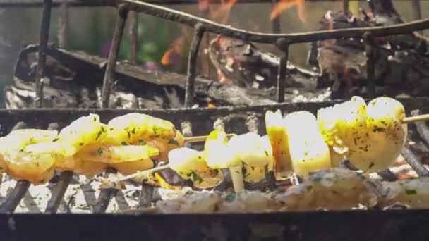 Fish Skewer Grill Slow Motion — Stock Video