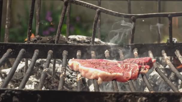 Steak Padá Gril Zpomaleném Filmu — Stock video