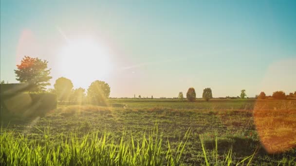 Campo Pôr Sol Lapso Tempo — Vídeo de Stock