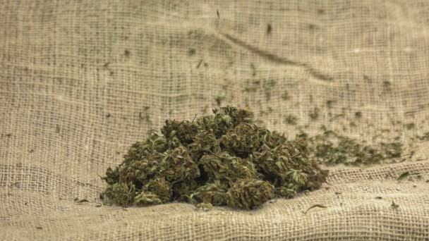 Marihuana Con Molinillo Rollos Articulaciones Flores Malezas Que Caen Desde — Vídeos de Stock