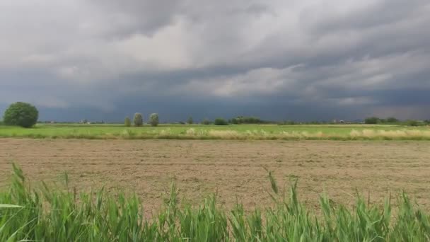 Orage Dans Campagne Arrive — Video