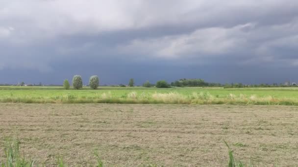 Gewitter Auf Dem Land Zieht Auf — Stockvideo