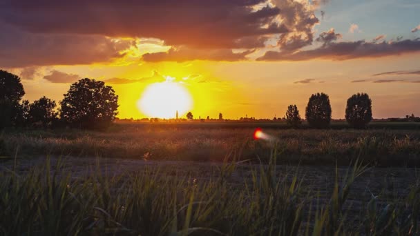 Grasgraben Sonnenuntergang Orange Landschaft Sommer — Stockvideo