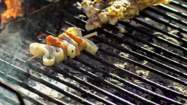 Detail Der Fischspieße Auf Dem Grill — Stockvideo