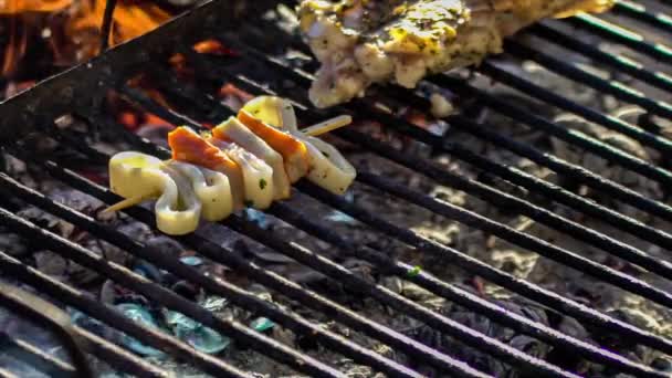 Detail Van Visspiesjes Grill — Stockvideo