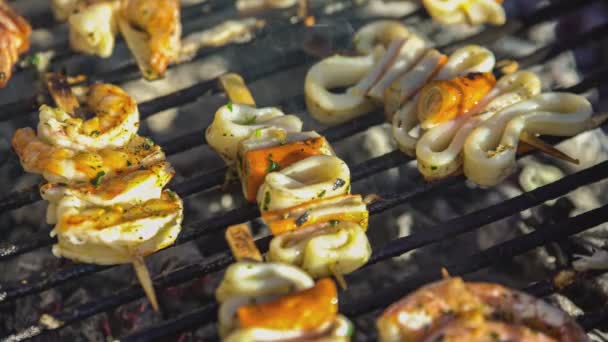 Detail Fish Skewers Grill — Stock Video