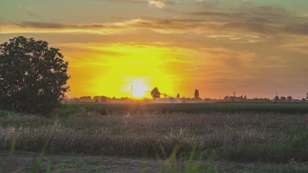 Magischer Orangefarbener Sonnenuntergang Einem Dorf Mit Feld — Stockvideo