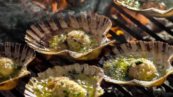 Cooking Scallops Detail Grill — Stock Video