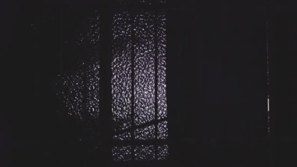 Тень Ночного Дерева Окне Ночью — стоковое видео