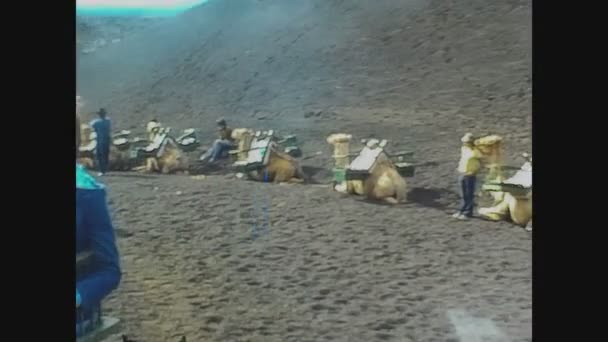 Lanzarote Hiszpania Czerwca 1974 Wycieczka Wielbłądów Lanzarote Latach Tych — Wideo stockowe