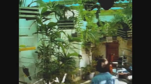 スペイン パルマス1976年12月 70年代のラス パルマス ストリート ビュー — ストック動画