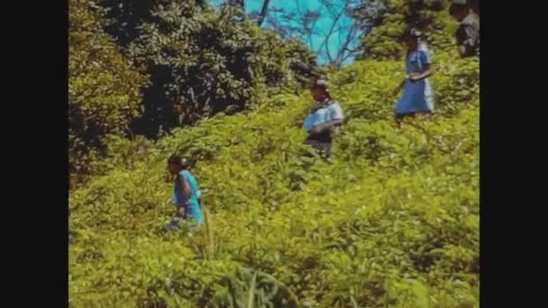 Uxmal Mexiko Oktober 1978 Maya Menschen Wald Den 70Er Jahren — Stockvideo