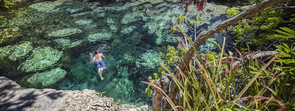 Mexican Cenote Detail Banner Image Copy Space — Stock Photo, Image