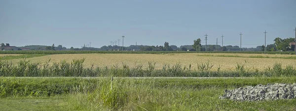 田園風景の詳細 コピースペースとバナー画像 — ストック写真