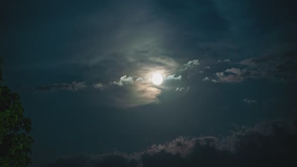 Time Lapse Luna Nube Notte — Video Stock