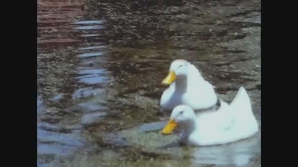 Mexique Mexique Octobre 1974 Jardins Flottants Xochimilco Dans Les Années — Video