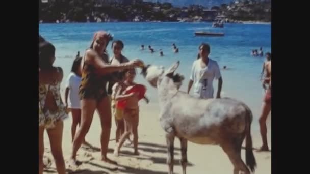 1974年 昭和49年 70年代に周辺の観光客とともに浜のロバ — ストック動画