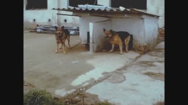 BARCELONA, İSPA 1973: 70 'lerde zincirli köpekler