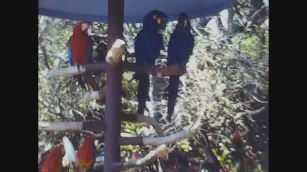 Saint Croix Îles Virgines Mai 1973 Parc National Des Îles — Video