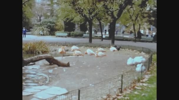 Barcelona Spanien Oktober 1973 Barcelona Zoo Talet — Stockvideo