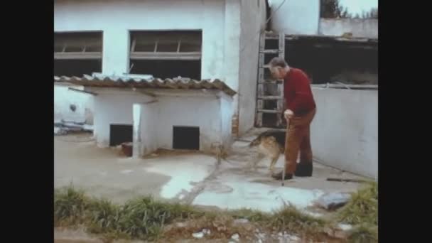 バルセロナ スペイン1973年10月 70年代の犬の虐待 — ストック動画